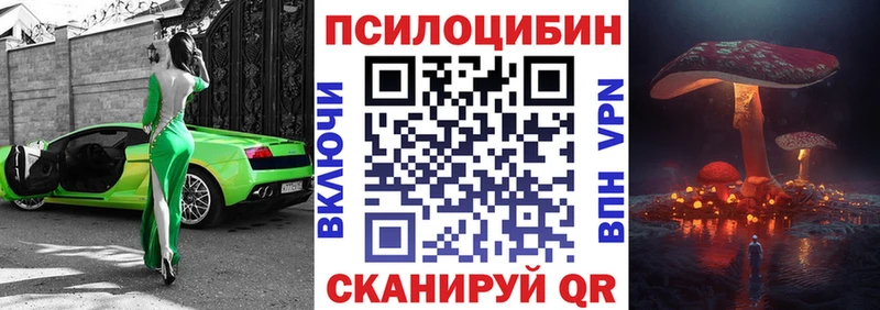 Галлюциногенные грибы Psilocybine cubensis где можно купить Ува